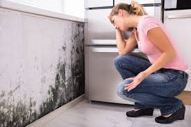 Why You Should Choose Our Mold Remediation Services in Margaret, AL